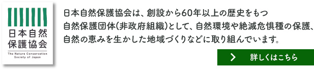 ���׺���ˡ�����ܼ����ݸ��